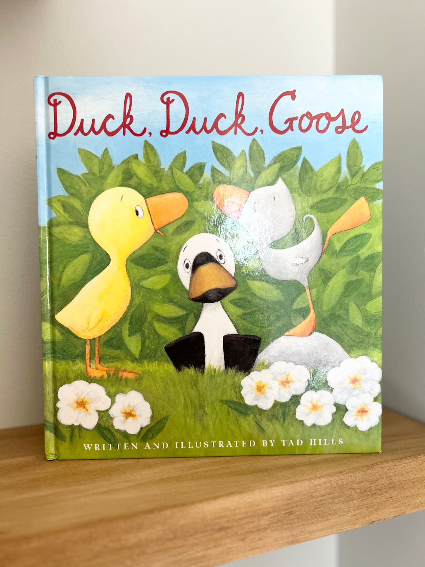 Duck, Duck, Goose | Hardcover Book