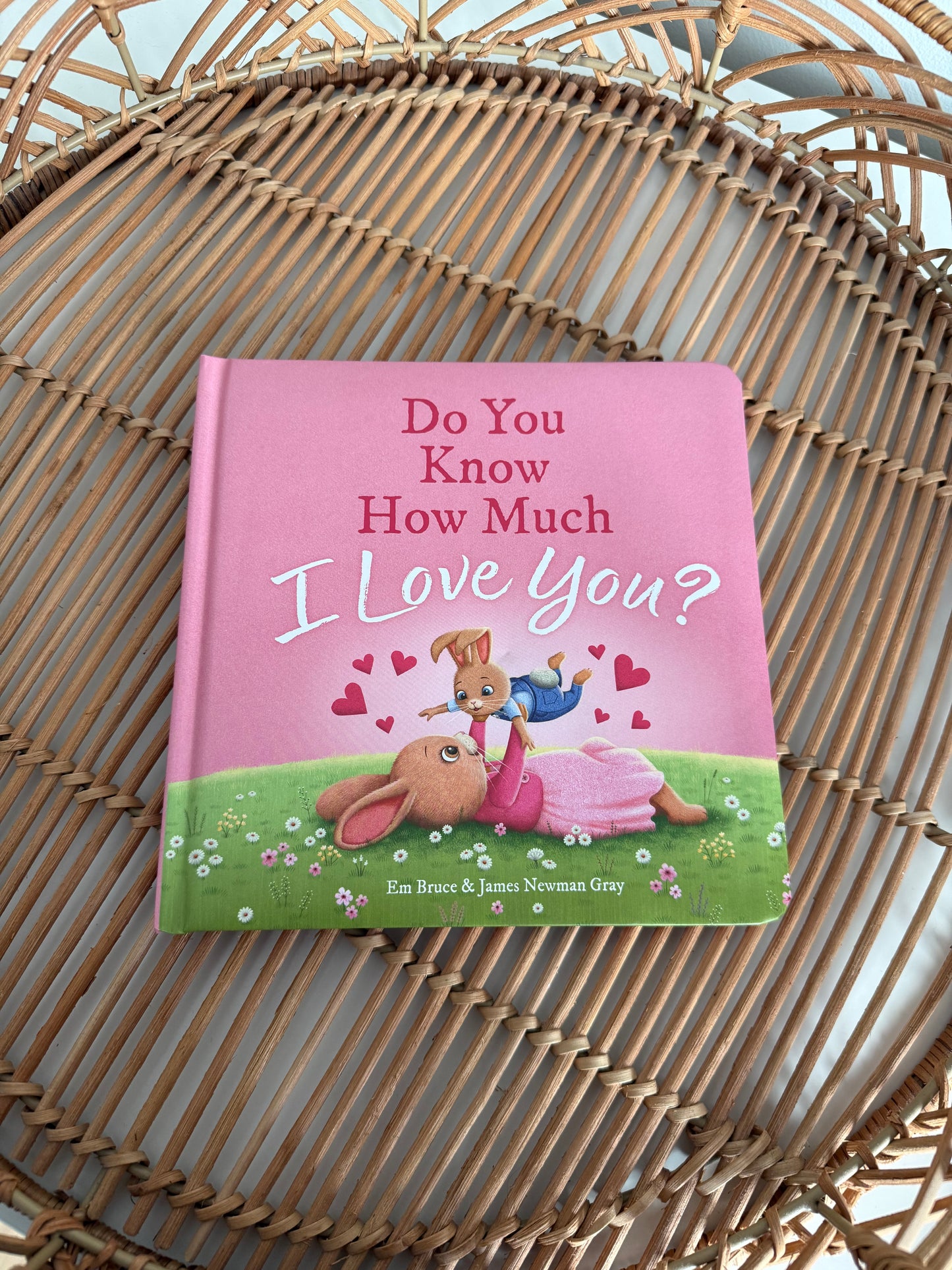 Do You Know How Much I Love You? | Board Book