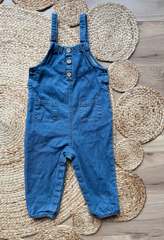 Carter’s Overalls | 24M