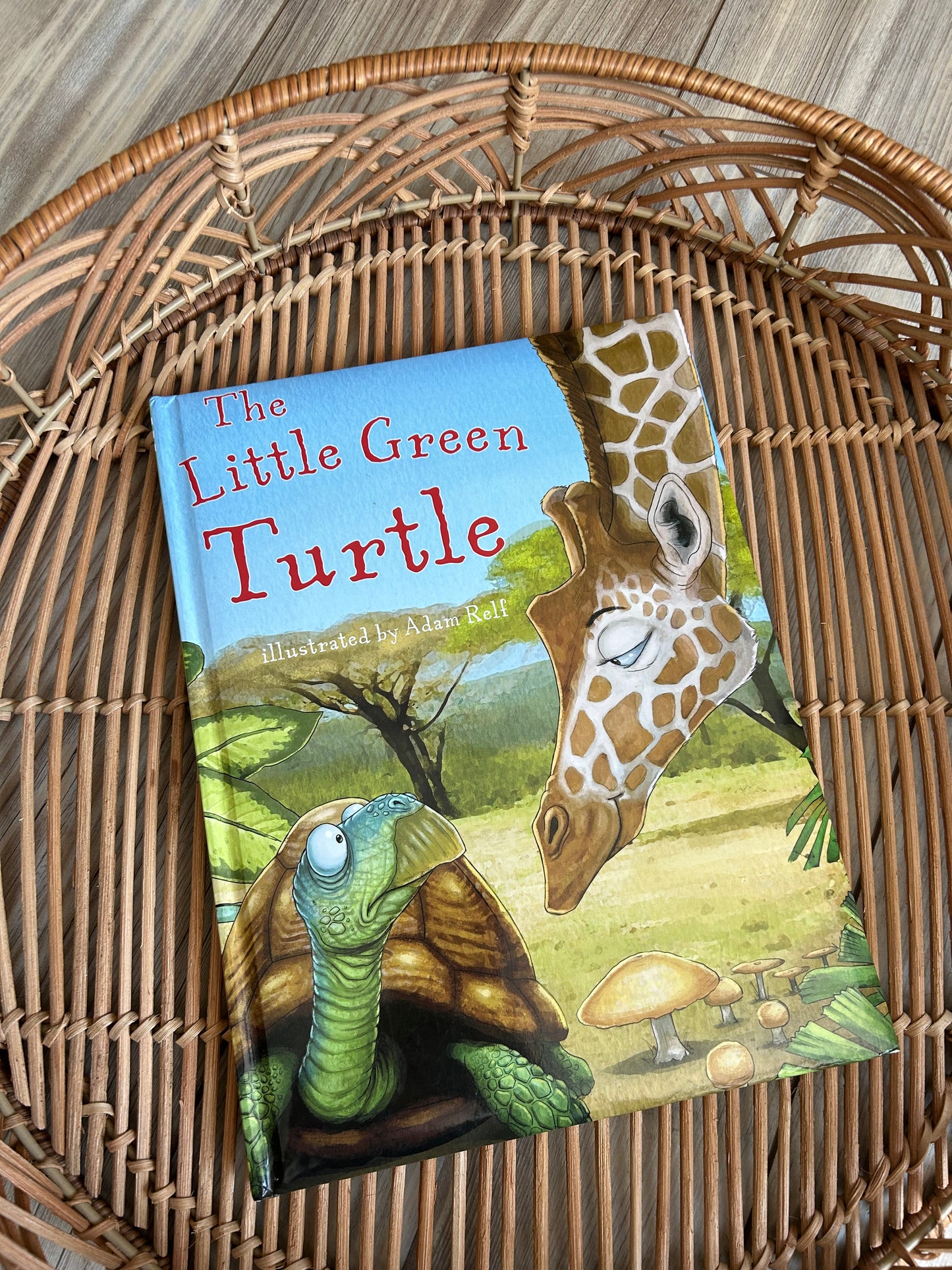 The Little Green Turtle | Book