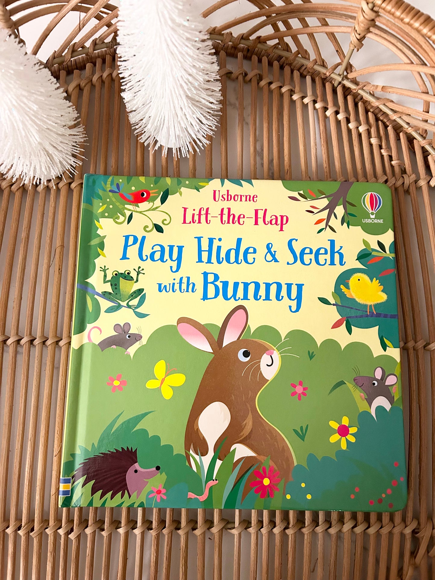 Usborne | Play Hide & Seek with Bunny